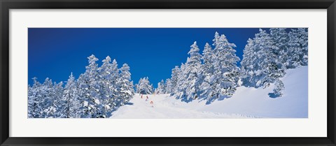 Framed Shiga Kogen Nagano Japan Print