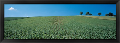 Framed France, Alsace Print