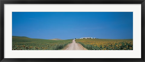 Framed Unpaved road Andalucia Spain Print
