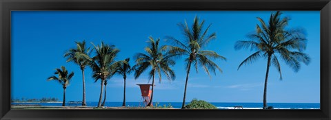 Framed Palm trees Oahu HI USA Print