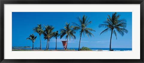 Framed Palm trees Oahu HI USA Print