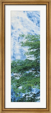 Framed Oku-Nikko Tochigi Japan Print