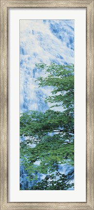 Framed Oku-Nikko Tochigi Japan Print