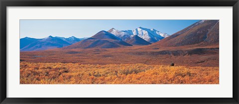 Framed Yukon Territory Canada Print