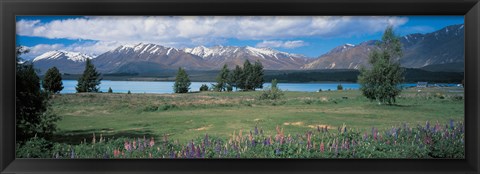 Framed Tekapo Lake South Island New Zealand Print