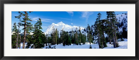 Framed Trees on a snow covered mountain, Mt Shuksan, Mt Baker-Snoqualmie National Forest, Washington State, USA Print