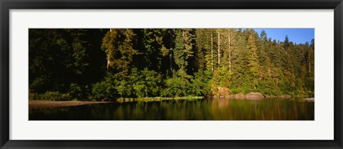 Framed Reflection of trees in a river, Smith River, Jedediah Smith Redwoods State Park, California, USA Print