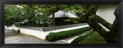 Framed Trees near a temple, Nanzenji Temple, Kyoto, Kyoto Prefecture, Kinki Region, Honshu, Japan Print