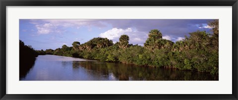 Framed Trees along a channel, Venice, Sarasota County, Florida Print