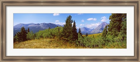 Framed Trees with mountains in the background, Looking Glass, US Glacier National Park, Montana, USA Print