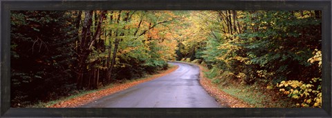 Framed Road passing through a forest, Green Bridge Road, Adirondack Mountains, Thendara, Herkimer County, New York State, USA Print