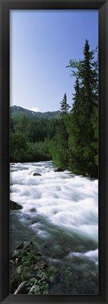 Framed River flowing through a forest, Little Susitna River, Hatcher Pass, Talkeetna Mountains, Alaska, USA Print