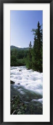 Framed River flowing through a forest, Little Susitna River, Hatcher Pass, Talkeetna Mountains, Alaska, USA Print