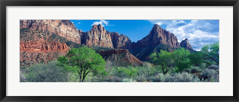 Framed Cottonwood trees and The Watchman, Zion National Park, Utah, USA Print