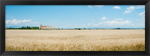 Framed Wheat field with grain elevator near D8, Plateau de Valensole, Alpes-de-Haute-Provence, Provence-Alpes-Cote d&#39;Azur, France Print