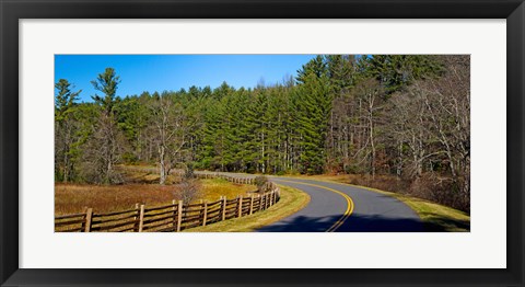 Framed Road passing through a forest, Blue Ridge Parkway, North Carolina, USA Print