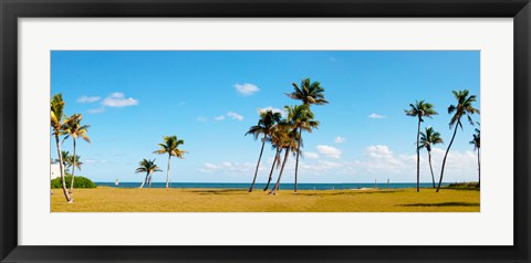 Framed Palm trees on the beach, Lauderdale, Florida, USA Print