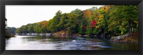 Framed Trees at the Riverside, Musquash River, Muskoka, Ontario, Canada Print