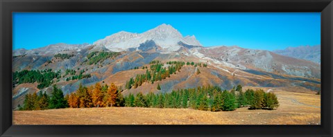 Framed Champs pass in autumn, French Riviera, Provence-Alpes-Cote d&#39;Azur, France Print