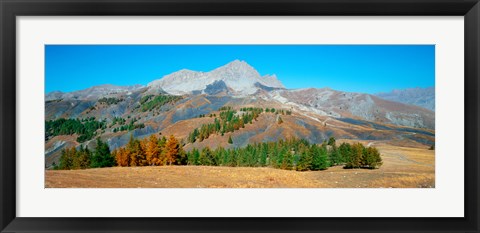 Framed Champs pass in autumn, French Riviera, Provence-Alpes-Cote d&#39;Azur, France Print