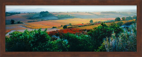 Framed Autumn Colors, Provence-Alpes-Cote d&#39;Azur, France Print