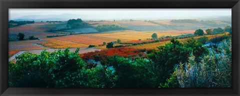 Framed Autumn Colors, Provence-Alpes-Cote d&#39;Azur, France Print