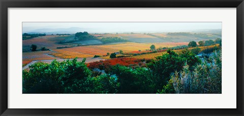 Framed Autumn Colors, Provence-Alpes-Cote d&#39;Azur, France Print