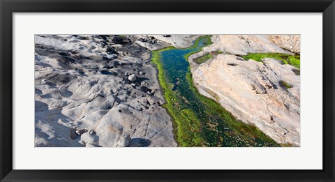 Framed Point Lobos State Reserve, Carmel, Monterey County, California Print