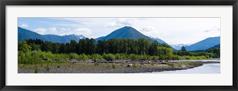 Framed Quinault Rainforest, Olympic National Park, Olympic Peninsula, Washington State Print