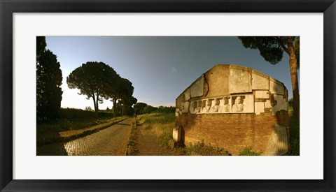 Framed Tombs and umbrella pines along the Via Appia Antica, Rome, Lazio, Italy Print