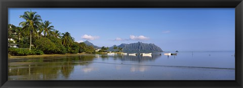 Framed Palm trees at a coast, Kaneohe Bay, Oahu, Hawaii, USA Print