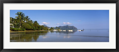 Framed Palm trees at a coast, Kaneohe Bay, Oahu, Hawaii, USA Print