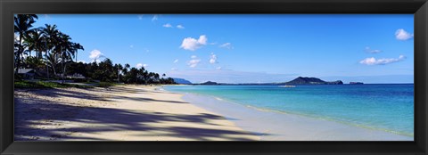 Framed Palm trees on the beach, Lanikai Beach, Oahu, Hawaii, USA Print