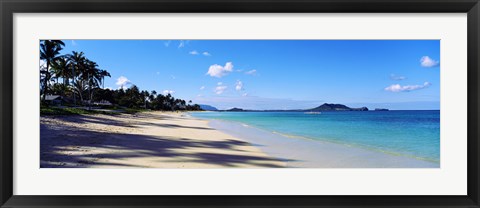 Framed Palm trees on the beach, Lanikai Beach, Oahu, Hawaii, USA Print