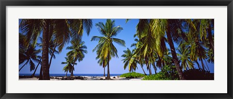 Framed Palm trees on the beach, Puuhonua O Honaunau National Historical Park, Hawaii, USA Print