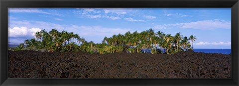 Framed Palm trees on the beach, Keawaiki Bay, Hawaii, USA Print