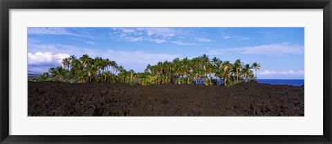 Framed Palm trees on the beach, Keawaiki Bay, Hawaii, USA Print