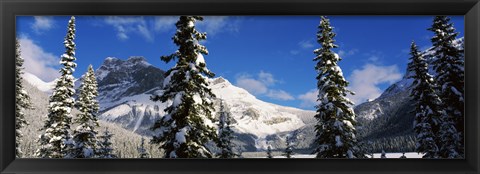 Framed Snow covered trees with mountain range in the background, Emerald Lake, Yoho National Park, Canada Print