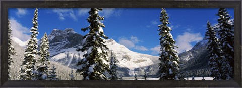 Framed Snow covered trees with mountain range in the background, Emerald Lake, Yoho National Park, Canada Print