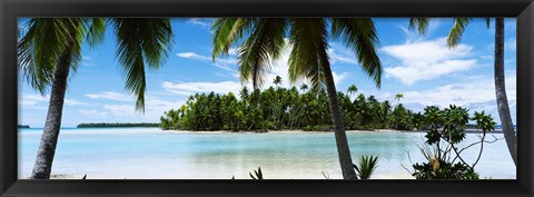 Framed Palm trees on the beach, Rangiroa Atoll, French Polynesia Print