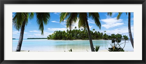 Framed Palm trees on the beach, Rangiroa Atoll, French Polynesia Print