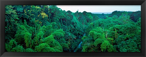 Framed Aerial View of Mauritius Island Print