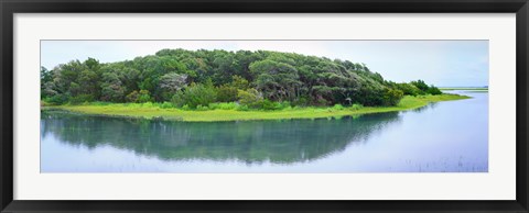 Framed Trees at Rachel Carson Coastal Nature Preserve, Beaufort, North Carolina, USA Print