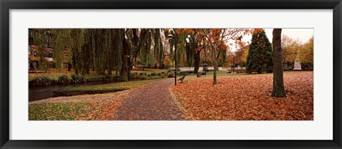 Framed Park at banks of the Avon River, Christchurch, South Island, New Zealand Print