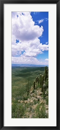 Framed Clouds over a landscape, Tucson Mountain Park, Tucson, Arizona, USA Print