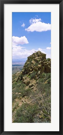 Framed Tucson Mountain Park facing East, Tucson, Arizona, USA Print