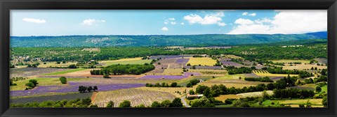 Framed Aerial view of fields, Provence-Alpes-Cote d&#39;Azur, France Print