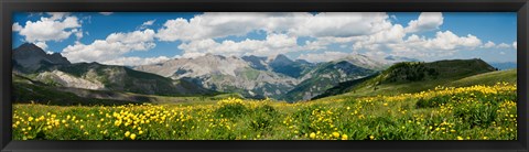 Framed Wildflowers in a field, Champs Pass, French Riviera, France Print