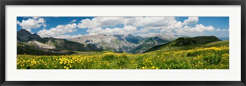 Framed Wildflowers in a field, Champs Pass, French Riviera, France Print