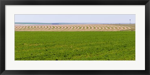 Framed Harvested alfalfa field patterns, Oklahoma, USA Print